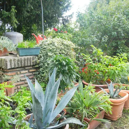 Appartamento Danilla *