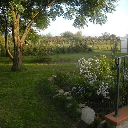 Danilla Апартаменты